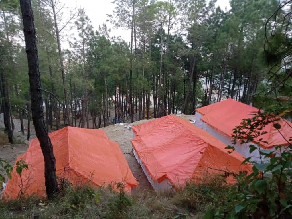 Amravati Resort Solan Eksteriør bilde